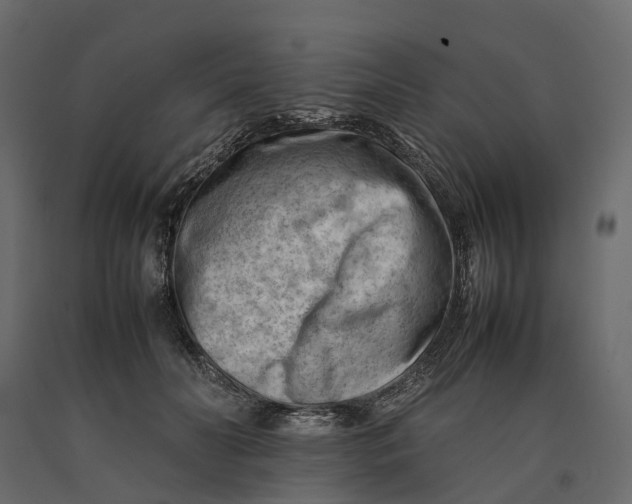 X0000090430606200708031131