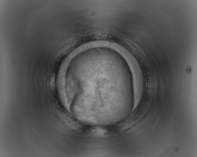 X0000090430610200708031131