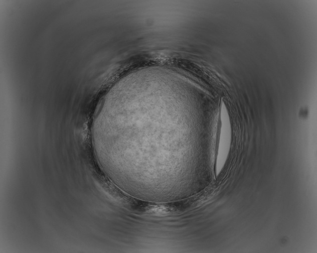 X0000090430611200708031131