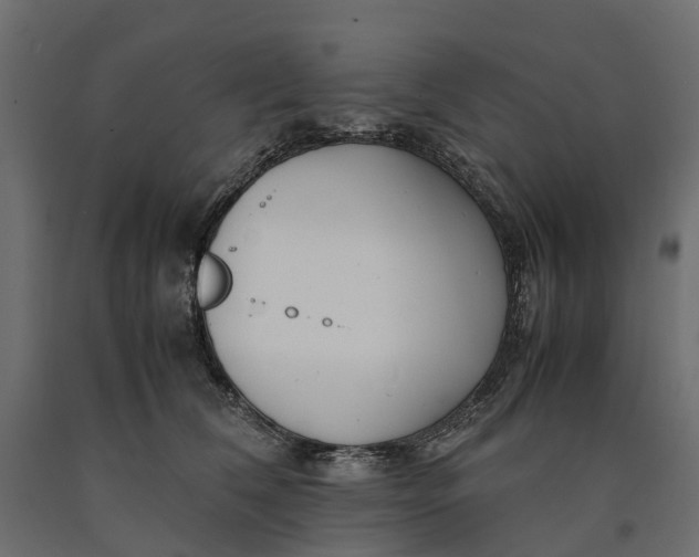 X0000090430612200708031131