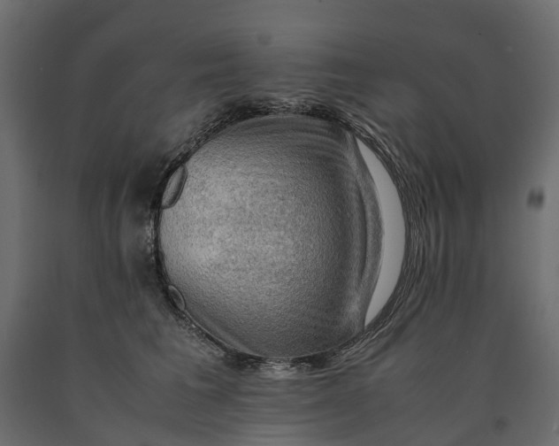 X0000090430613200708031131