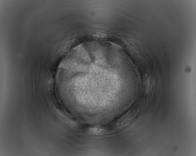 X0000090430614200708031131