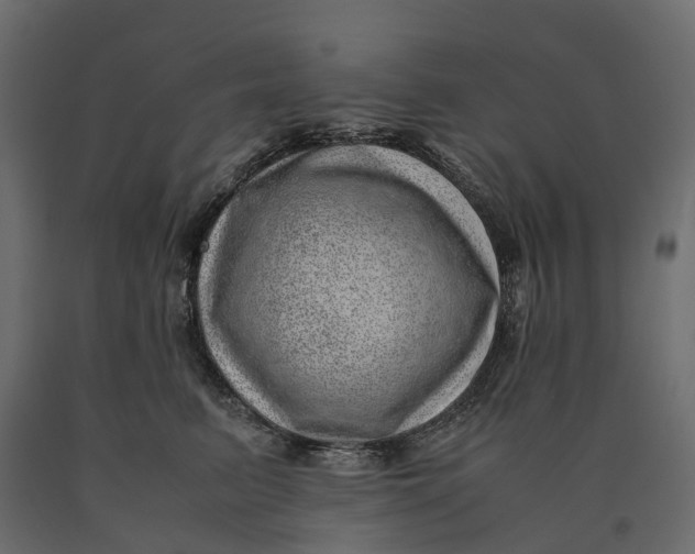 X0000090430615200708031131