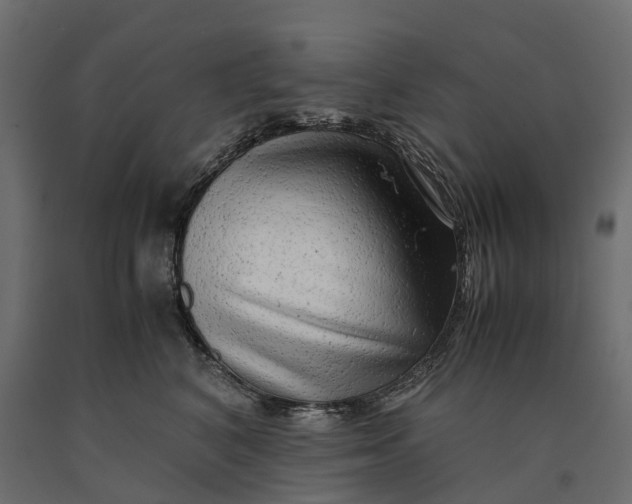 X0000090430616200708031131