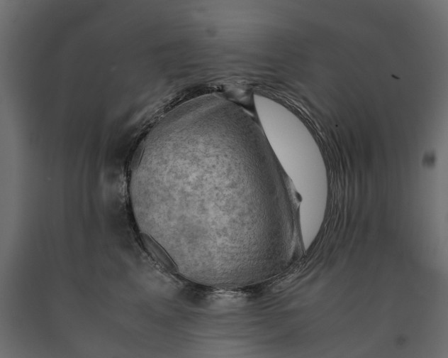 X0000090430617200708031131