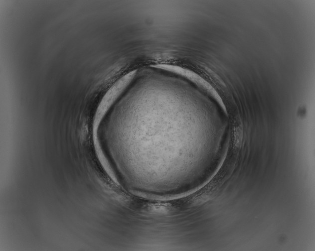 X0000090430618200708031131