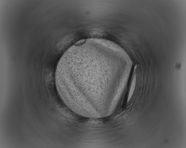 X0000090430619200708031131