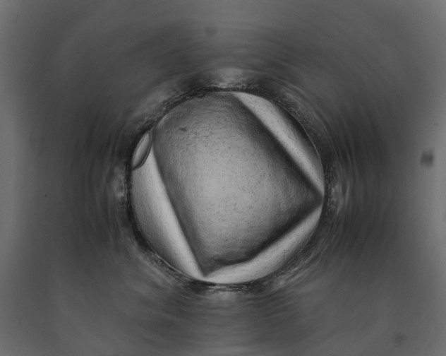 X0000090430620200708031131
