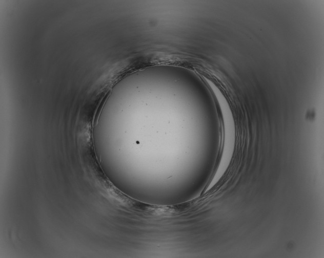 X0000090430621200708031131