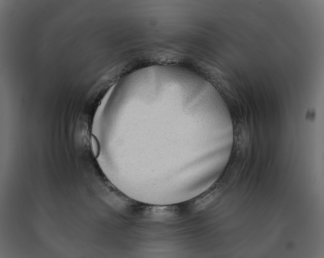 X0000090430622200708031131