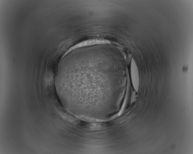 X0000090430623200708031131
