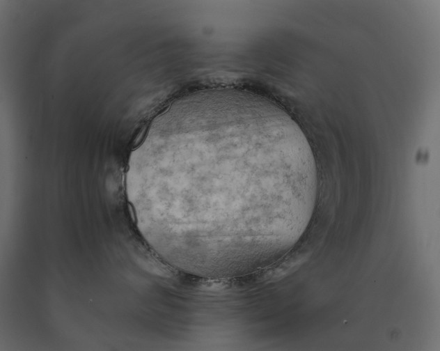 X0000090430624200708031131
