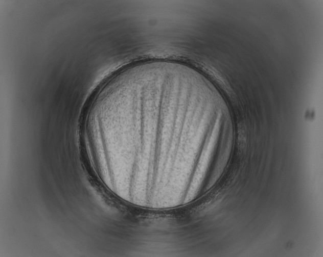 X0000090430626200708031130