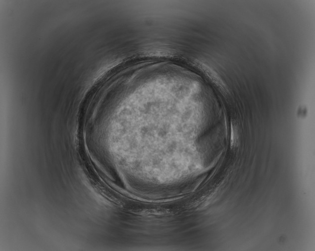 X0000090430627200708031130