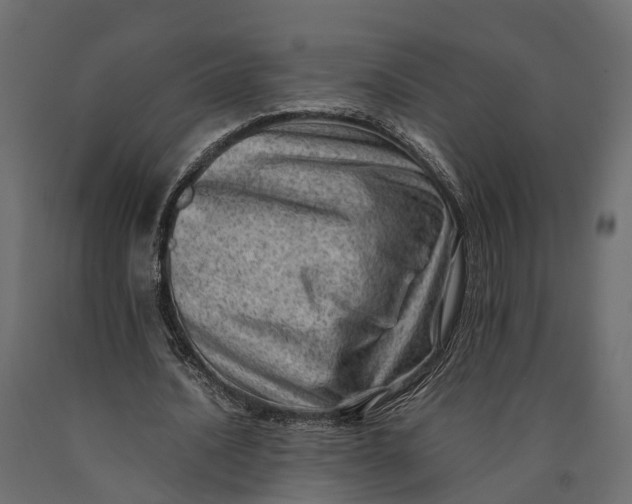 X0000090430628200708031130