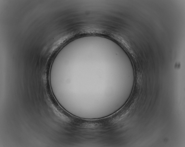 X0000090430629200708031130