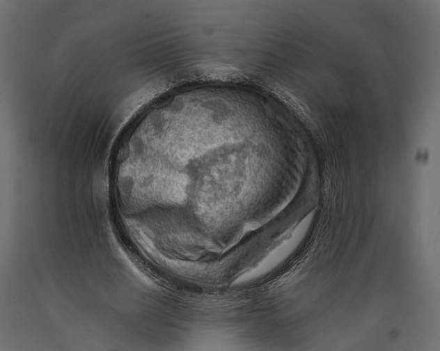 X0000090430630200708031130