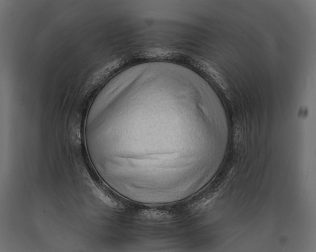 X0000090430633200708031130