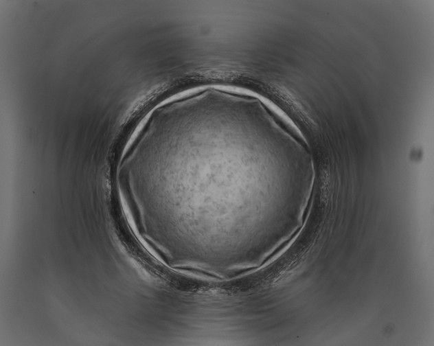 X0000090430634200708031130