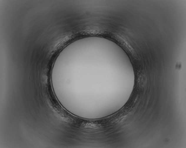 X0000090430635200708031130