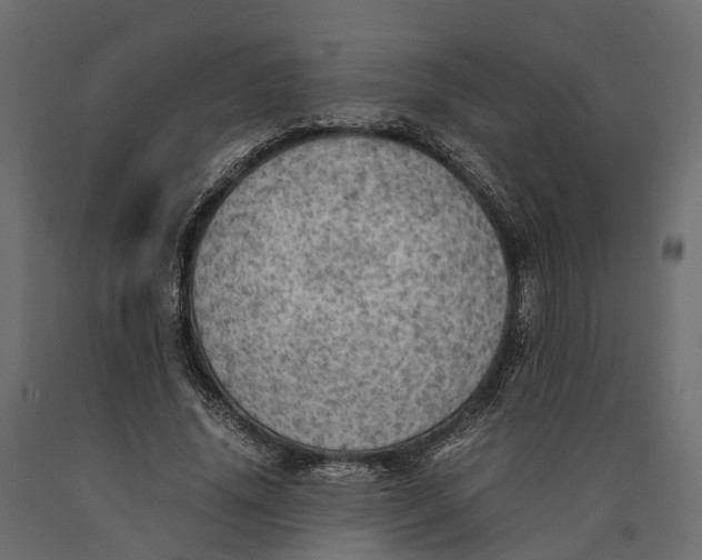 X0000090430636200708031130