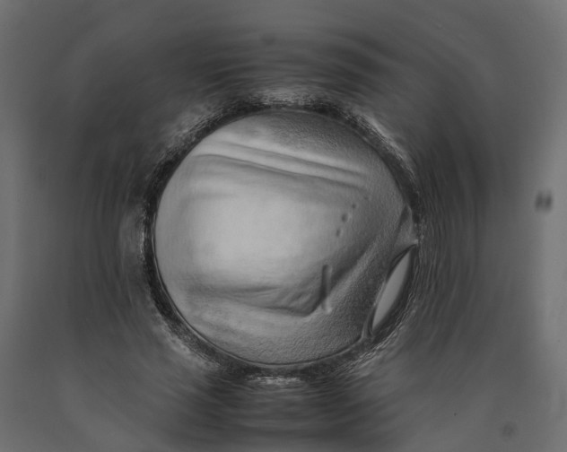 X0000090430637200708031130