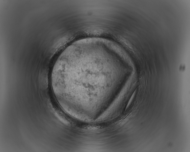 X0000090430638200708031130