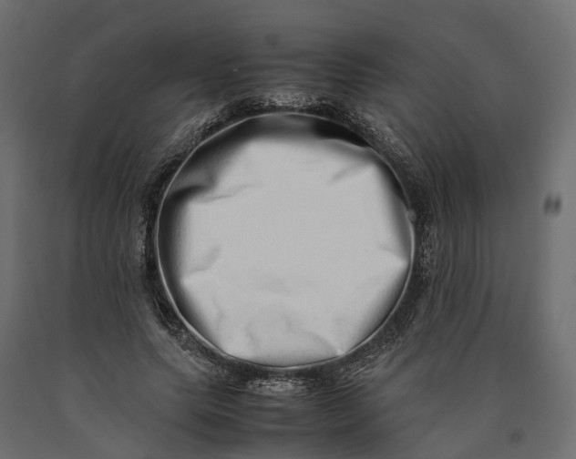X0000090430639200708031130