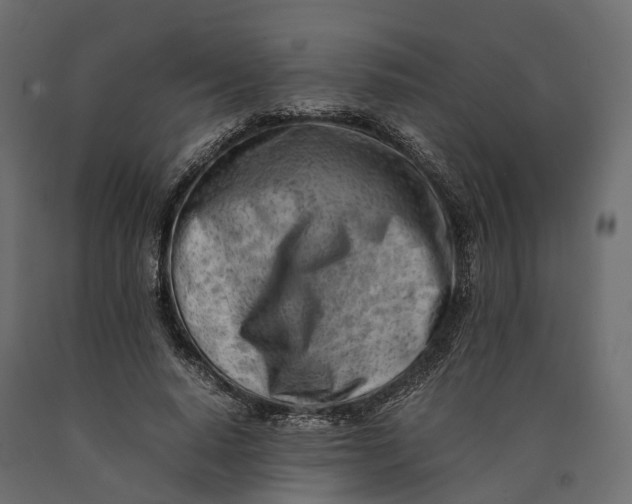 X0000090430640200708031130