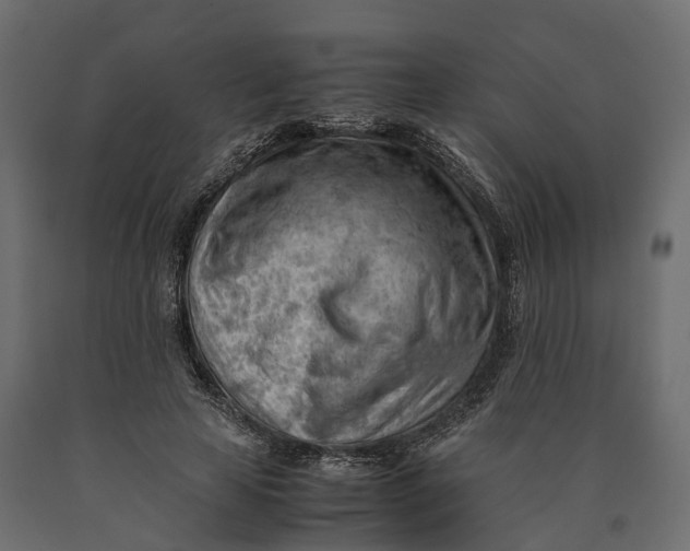 X0000090430641200708031130