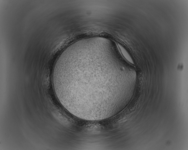 X0000090430642200708031130