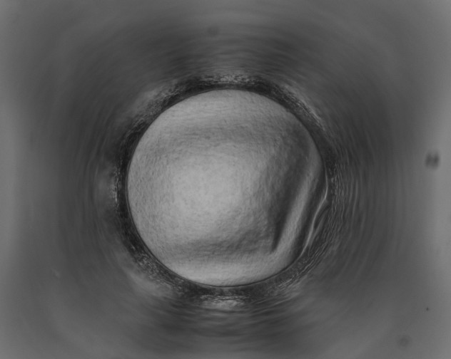 X0000090430643200708031130