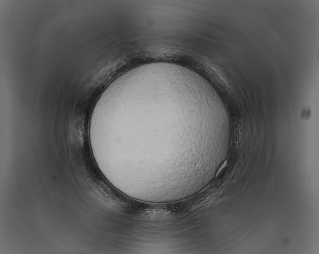 X0000090430644200708031130