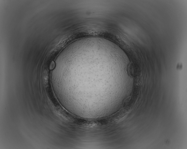 X0000090430646200708031130