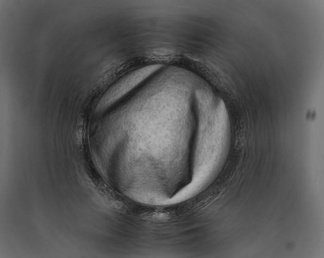 X0000090430647200708031130