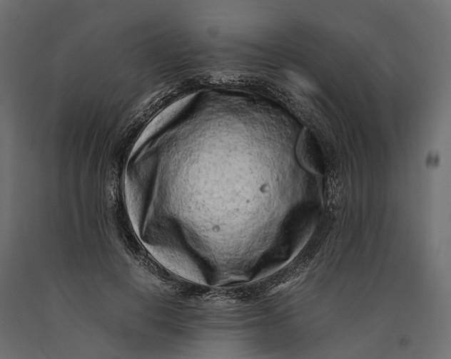 X0000090430648200708031130