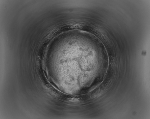 X0000090430649200708031130