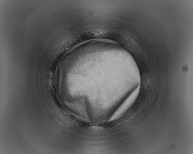 X0000090430650200708031130