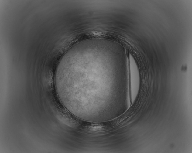 X0000090430651200708031130