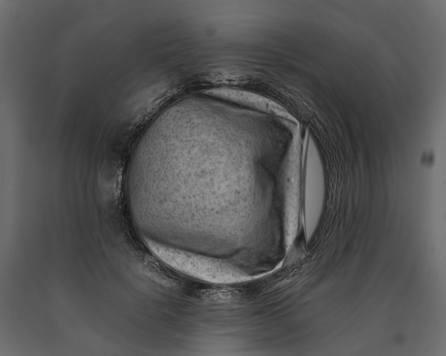X0000090430652200708031130