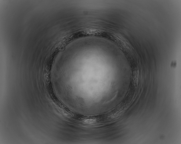 X0000090430653200708031130
