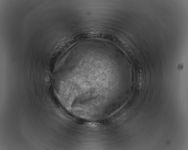 X0000090430654200708031131
