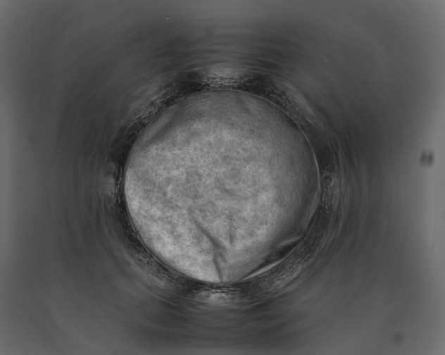 X0000090430655200708031131