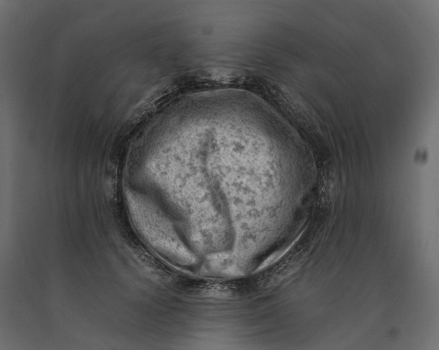 X0000090430656200708031131