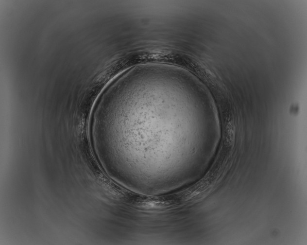 X0000090430657200708031131