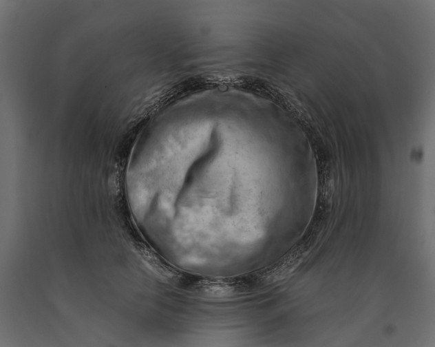 X0000090430658200708031131