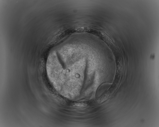 X0000090430659200708031131