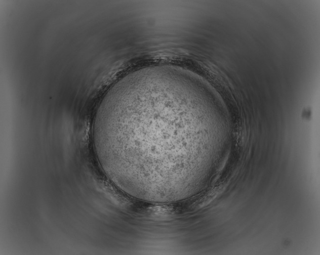 X0000090430660200708031131