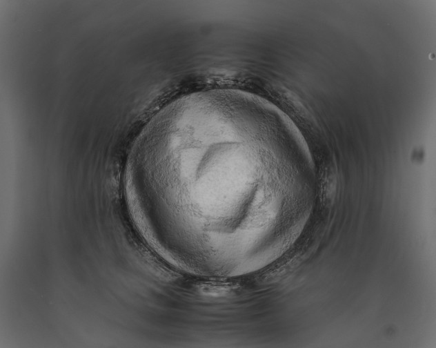X0000090430661200708031131