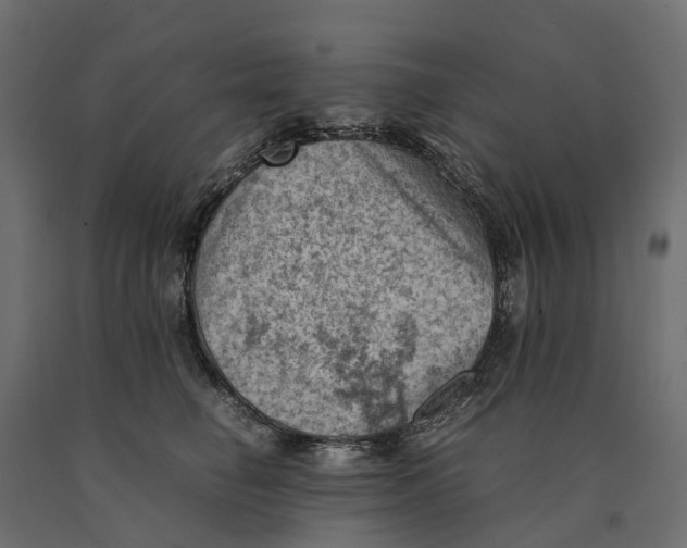 X0000090430662200708031131